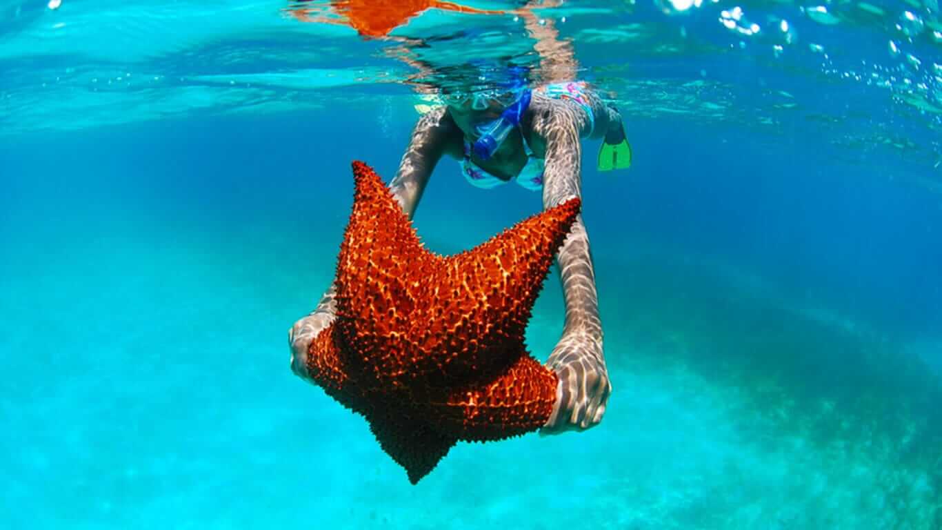 Reliable and Private Airport Transfers in Punta Cana | 2024 - 25